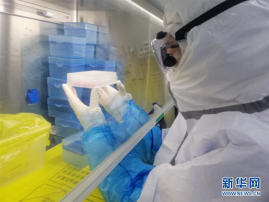 （一線抗疫群英譜&middot;圖文互動）（2）&ldquo;95后&rdquo;大學(xué)生郝鶯歌：退掉車票，她選擇直面病毒