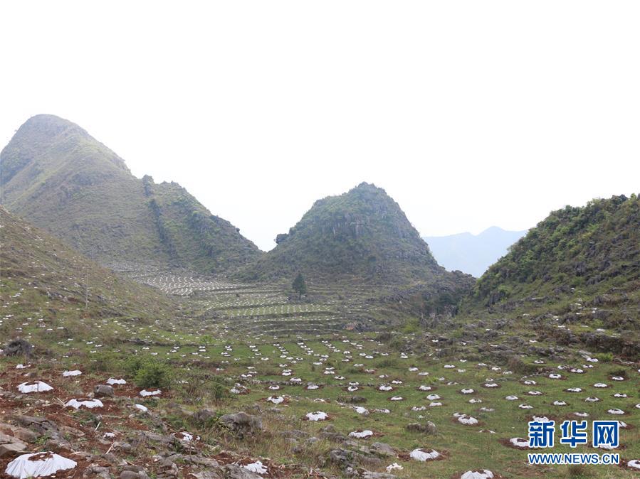 （決戰(zhàn)決勝脫貧攻堅(jiān)&middot;圖文互動(dòng)）（4）逐項(xiàng)逐戶排查補(bǔ)齊脫貧攻堅(jiān)&ldquo;短板&rdquo;&mdash;&mdash;貴州晴隆縣扶貧一線工作見聞 