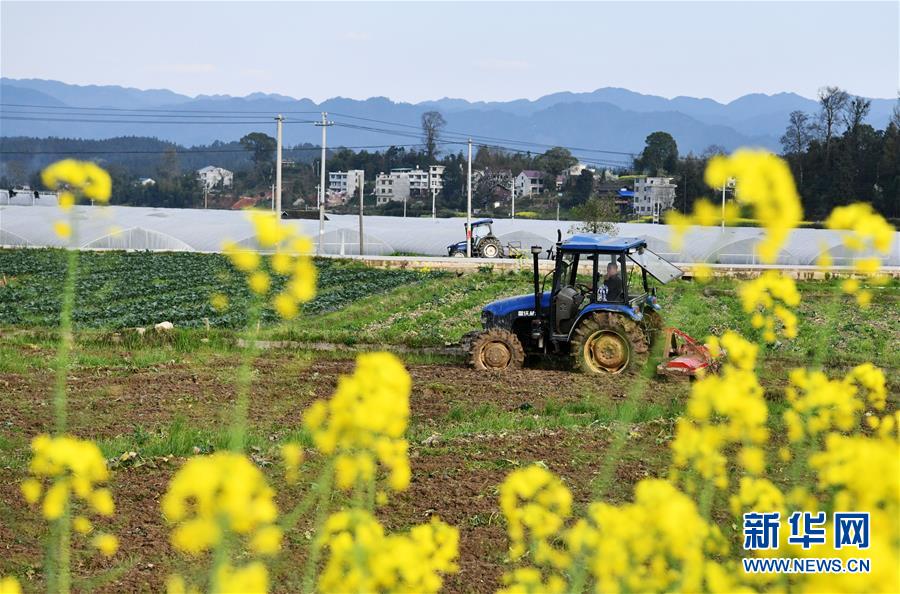 (決戰(zhàn)決勝脫貧攻堅·圖文互動)(3)貴州黔東南:搶抓壩區(qū)春耕 決勝脫貧攻堅