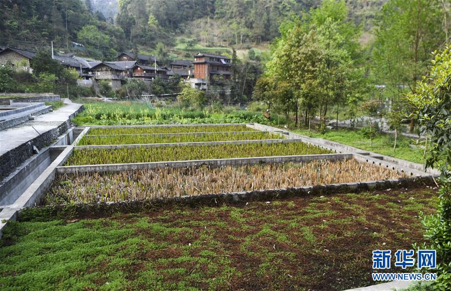 (圖文互動(dòng))(3)“消失”的小南海