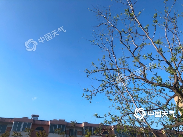 陣風(fēng)8級！北京遭遇雨后大降溫 北風(fēng)勁吹需添衣