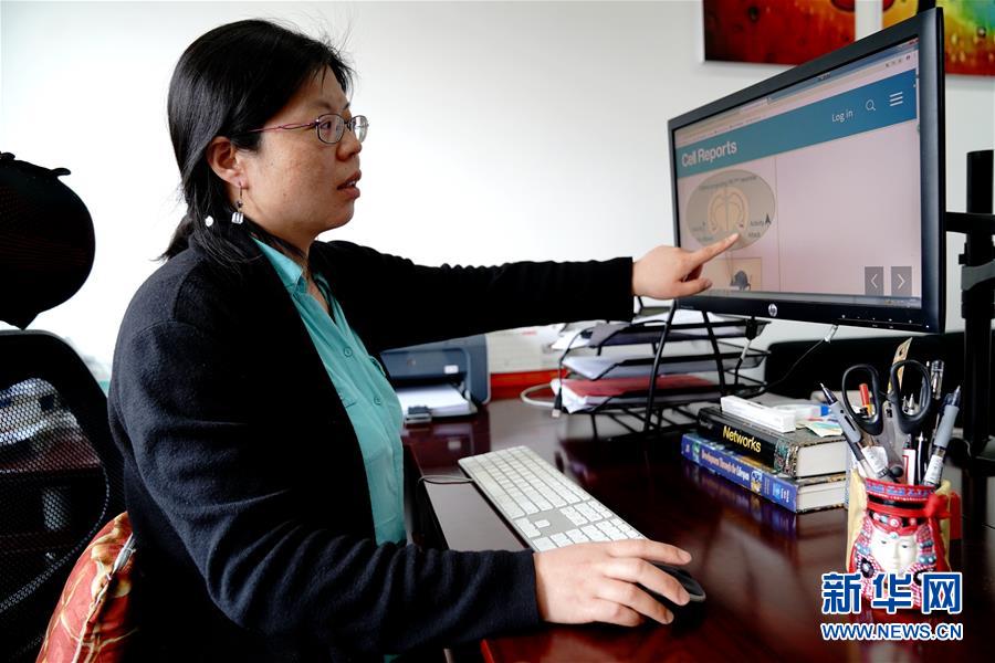 （圖文互動）（1）攻擊行為如何被大腦控制？科學(xué)家在小鼠大腦中發(fā)現(xiàn)&ldquo;調(diào)節(jié)開關(guān)&rdquo;