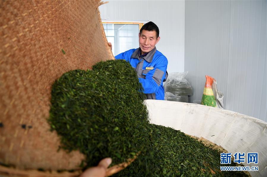 （新華全媒頭條&middot;圖文互動）（5）紅土地上的&ldquo;綠色減貧&rdquo;決戰(zhàn)&mdash;&mdash;大別山&ldquo;將軍縣&rdquo;金寨脫貧紀(jì)實(shí)