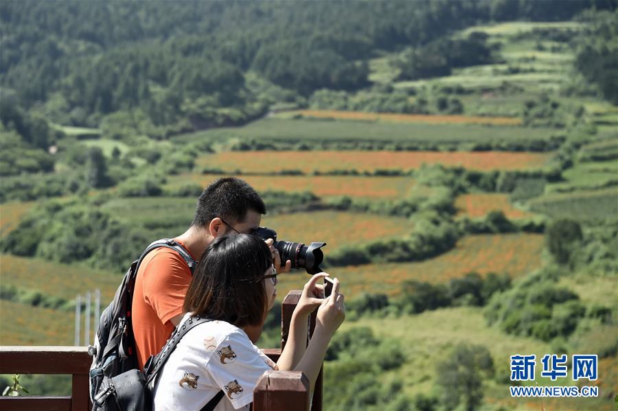 （圖文互動）（1）這座小城，鐫刻下怎樣的&ldquo;世園印記&rdquo;&mdash;&mdash;北京世園會開園一周年探訪延慶