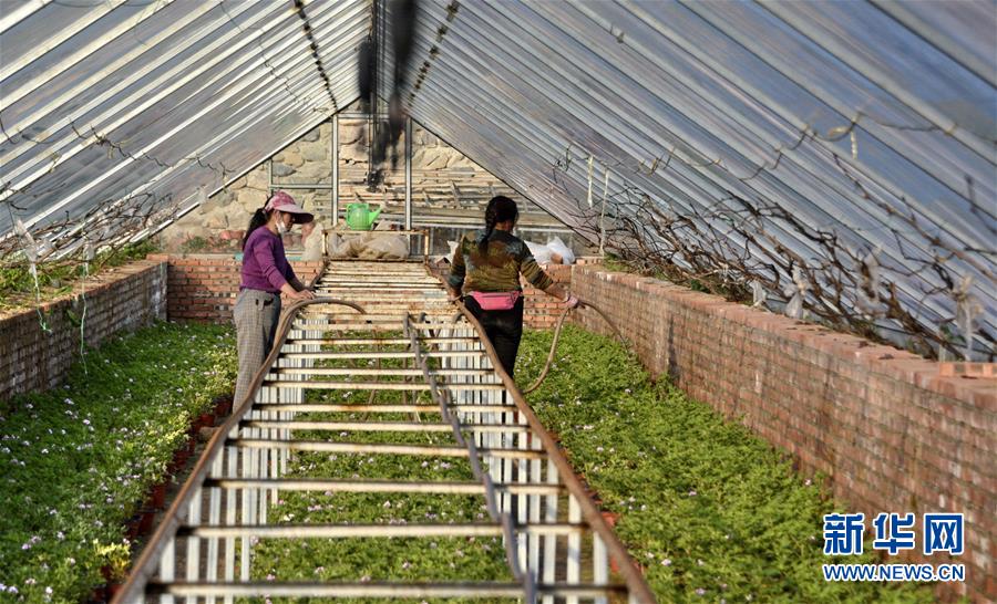 （圖文互動）（2）這座小城，鐫刻下怎樣的&ldquo;世園印記&rdquo;&mdash;&mdash;北京世園會開園一周年探訪延慶