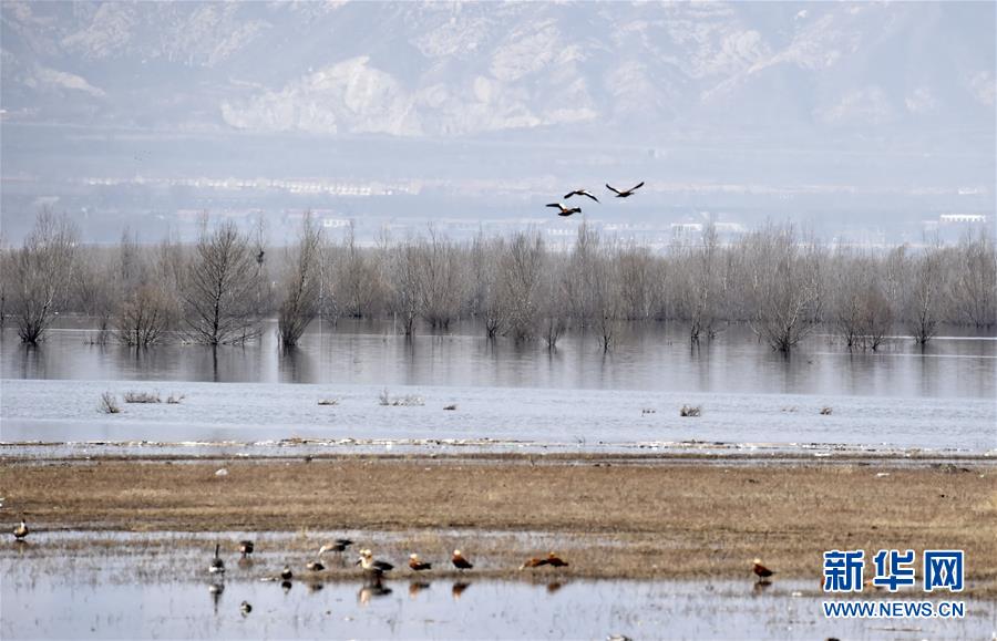 （圖文互動）（3）這座小城，鐫刻下怎樣的&ldquo;世園印記&rdquo;&mdash;&mdash;北京世園會開園一周年探訪延慶