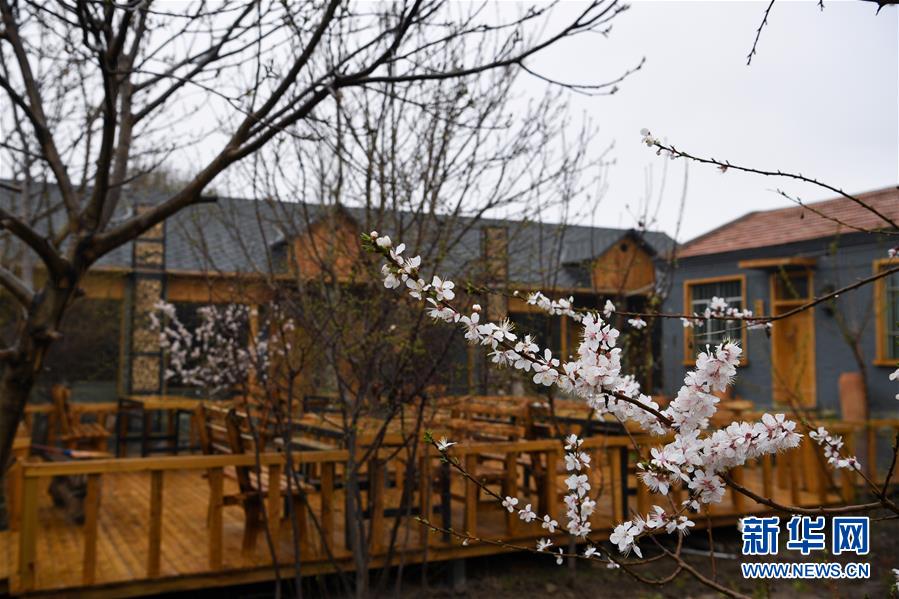 （圖文互動）（6）&ldquo;疫&rdquo;去客來會有時&mdash;&mdash;新疆伊犁河谷旅游市場漸暖見聞