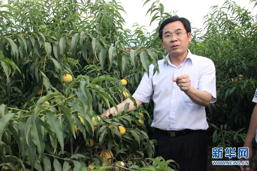 （圖文互動(dòng)）（2）&ldquo;為脫貧而來(lái)，為脫貧而去&rdquo;&mdash;&mdash;追記湖南炎陵縣委原書記黃詩(shī)燕 