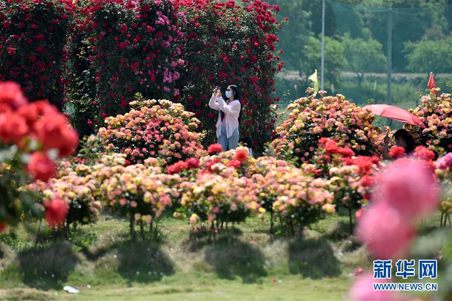 #（社會(huì)）（11）樂享&ldquo;五一&rdquo;假期