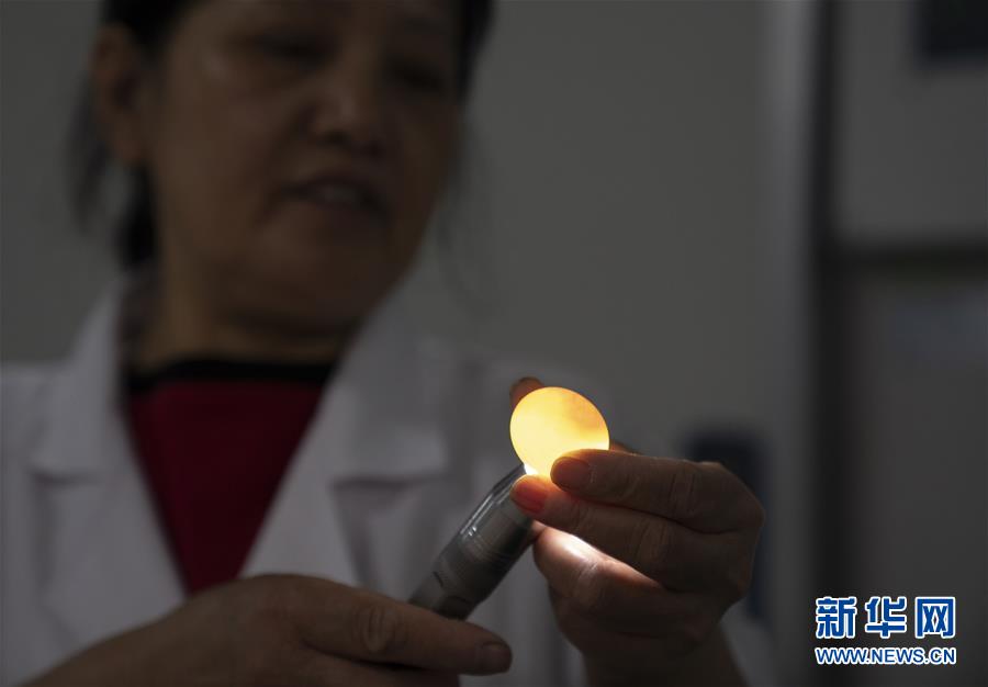 （決戰(zhàn)決勝脫貧攻堅&middot;圖文互動）（2）小鴿子帶來大希望&mdash;&mdash;河北阜平硒鴿產業(yè)&ldquo;飛翔&rdquo;記