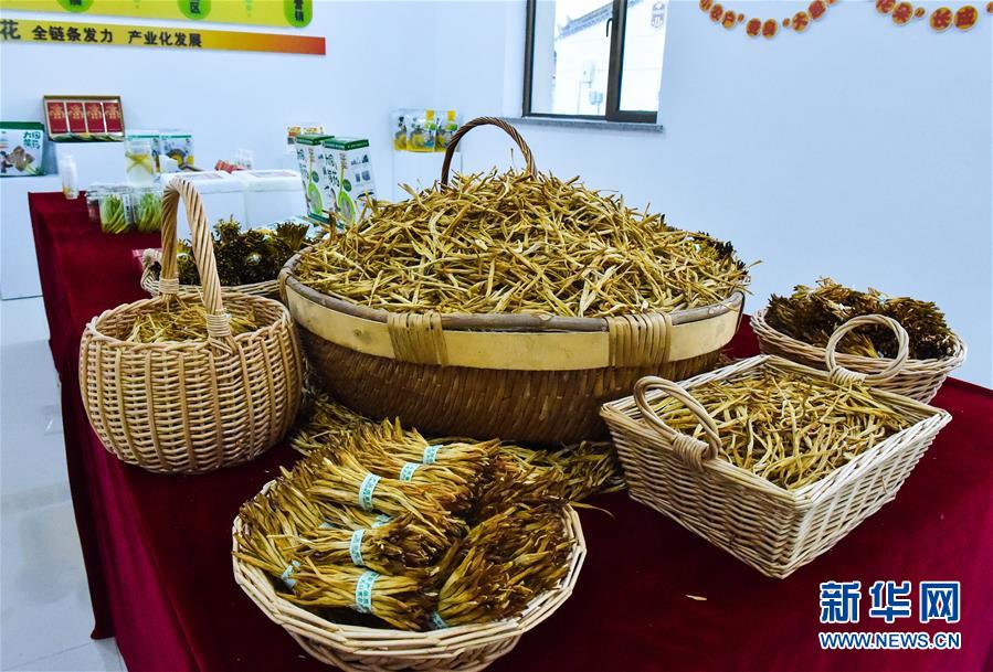 （新華全媒頭條&middot;圖文互動）（3）初夏，循著總書記的腳步探訪產(chǎn)業(yè)扶貧新事