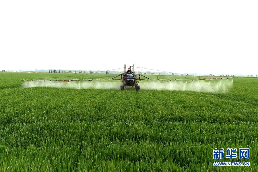 （在習(xí)近平新時(shí)代中國特色社會主義思想指引下&mdash;&mdash;新時(shí)代新作為新篇章&middot;習(xí)近平總書記關(guān)切事&middot;圖文互動）（10）新農(nóng)事、新希望&mdash;&mdash;夏收前田間新動態(tài)掃描