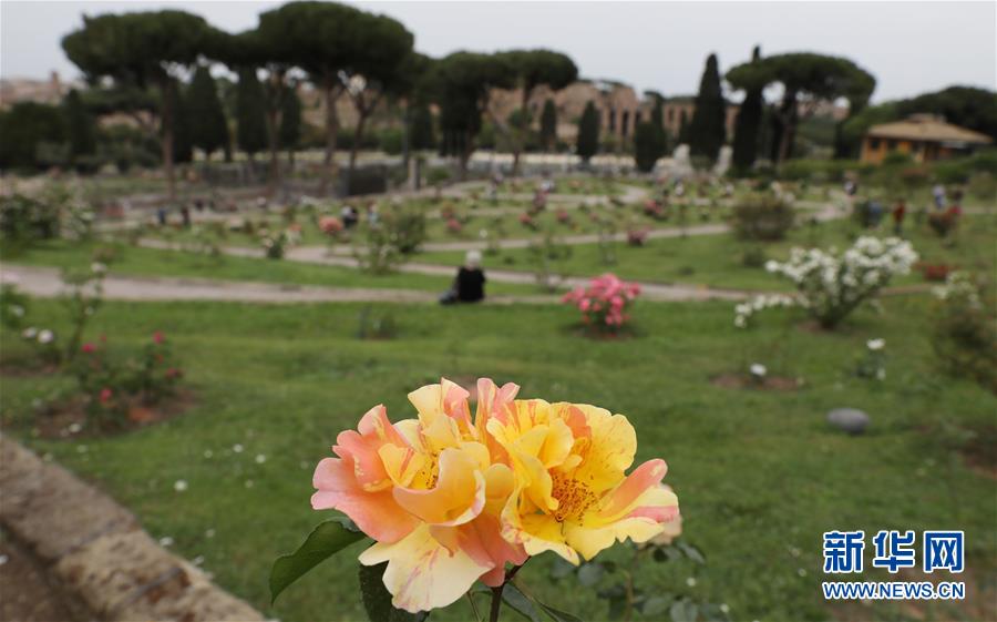 (國(guó)際疫情)(7)意大利將于6月初開(kāi)放與申根區(qū)國(guó)家間人員流動(dòng)