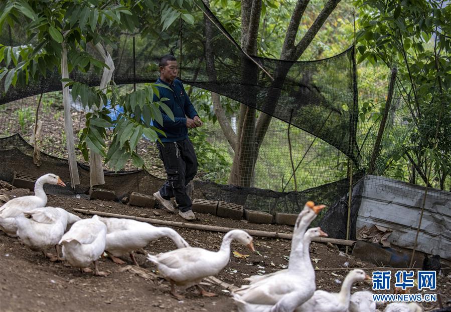 (新華全媒頭條·兩會精神看落實·圖文互動)(8)培育新機(jī) 開辟新局——落實全國兩會精神激發(fā)經(jīng)濟(jì)發(fā)展新動能述評