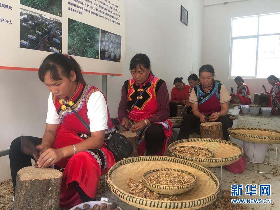 (新華全媒頭條·聚焦“三區(qū)三州”脫貧攻堅·圖文互動)(2)向深度貧困“堡壘”發(fā)起最后總攻——寫在“三區(qū)三州”脫貧攻堅關鍵時點