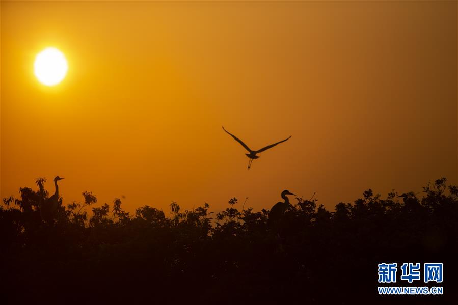(新華全媒頭條·圖文互動(dòng))(1)大湖新歌——我國(guó)兩大淡水湖全面生態(tài)修復(fù)進(jìn)行時(shí)