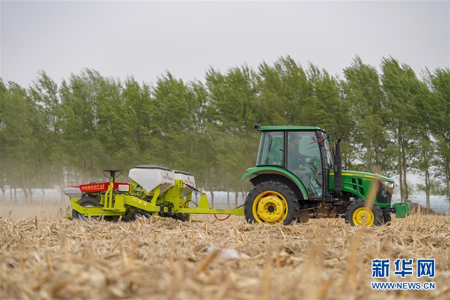 （在習近平新時代中國特色社會主義思想指引下&mdash;&mdash;新時代新作為新篇章&middot;習近平總書記關切事&middot;圖文互動）（9）讓農民挑上&ldquo;金扁擔&rdquo;&mdash;&mdash;農業(yè)現(xiàn)代化的生動實踐掃描