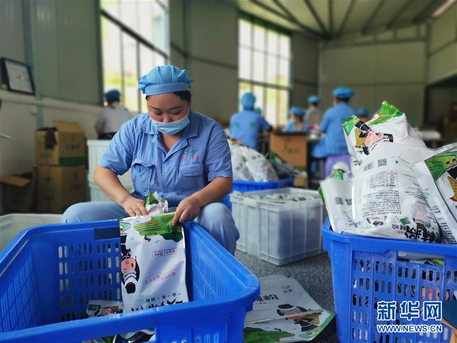 (決戰(zhàn)決勝脫貧攻堅(jiān)·圖文互動)(2)貴州思南:發(fā)展“紅薯經(jīng)濟(jì)”助脫貧