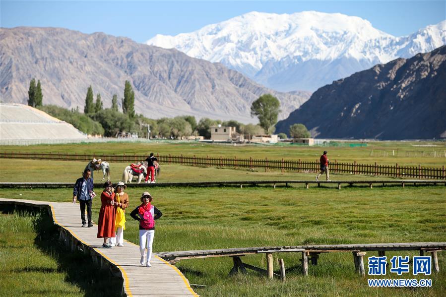 （新華全媒頭條&middot;圖文互動）（15）飛吧，&ldquo;帕米爾雄鷹&rdquo;！