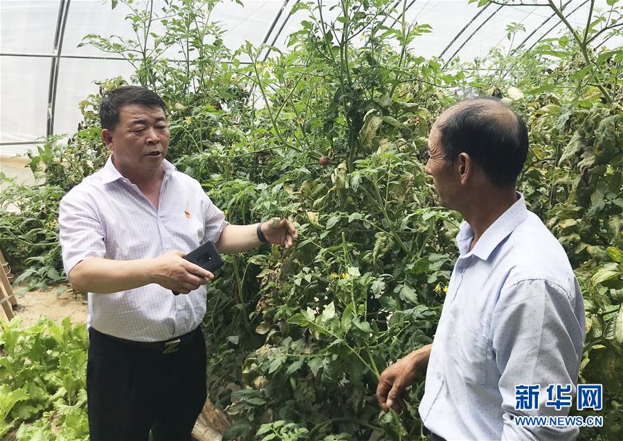 (決戰(zhàn)決勝脫貧攻堅(jiān)·圖文互動)(2)魚漁兼授 志智雙扶——窮溝溝“菜富記”