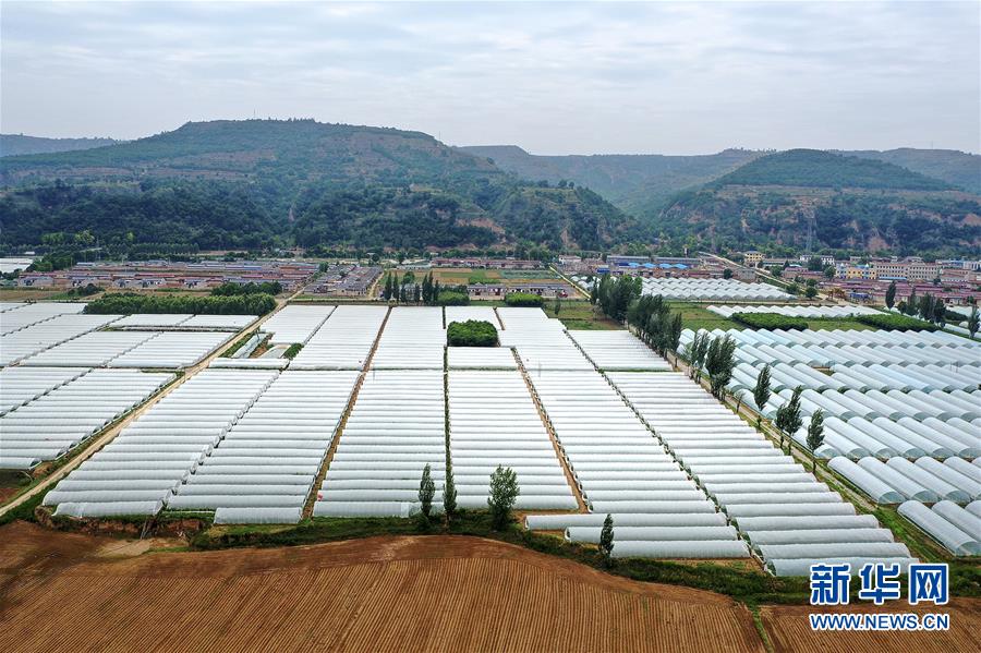 (決戰(zhàn)決勝脫貧攻堅(jiān)·圖文互動)(3)魚漁兼授 志智雙扶——窮溝溝“菜富記”