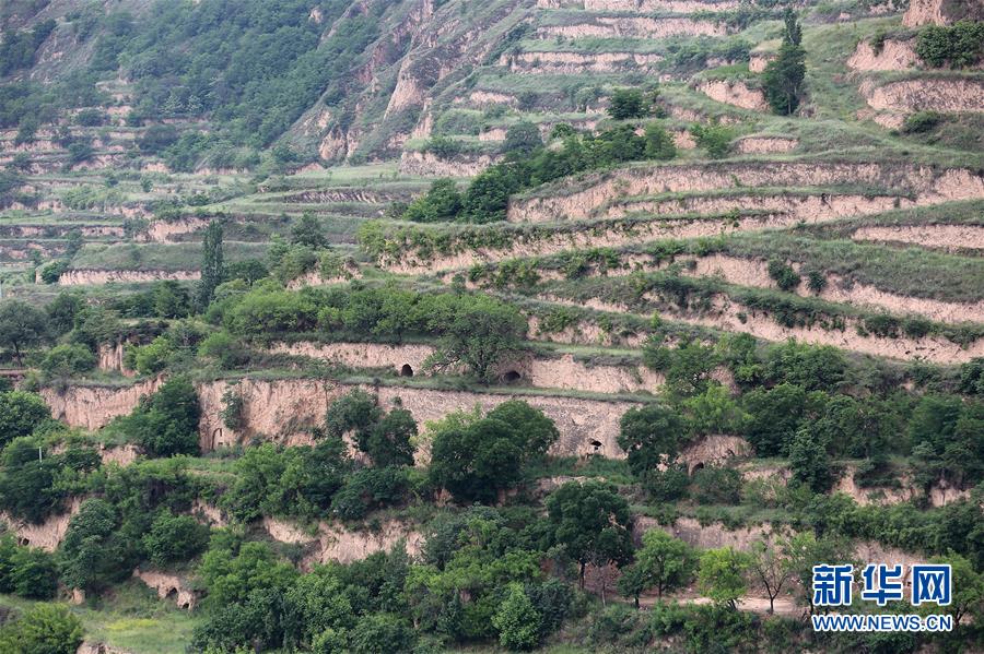 (決戰(zhàn)決勝脫貧攻堅(jiān)·圖文互動)(5)魚漁兼授 志智雙扶——窮溝溝“菜富記”