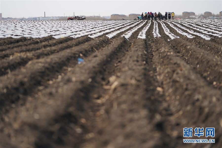 （在習(xí)近平新時(shí)代中國特色社會主義思想指引下&mdash;&mdash;新時(shí)代新作為新篇章&middot;習(xí)近平總書記關(guān)切事&middot;圖文互動(dòng)）（3）讓每一寸耕地都成為豐收的沃土&mdash;&mdash;我國加強(qiáng)耕地保護(hù)推進(jìn)&ldquo;藏糧于地&rdquo;