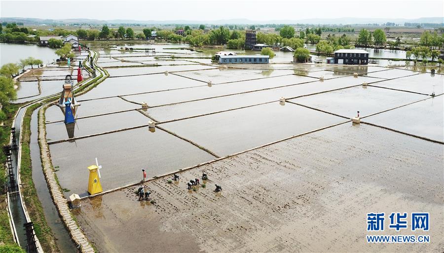 （在習(xí)近平新時(shí)代中國特色社會主義思想指引下&mdash;&mdash;新時(shí)代新作為新篇章&middot;習(xí)近平總書記關(guān)切事&middot;圖文互動(dòng)）（1）讓每一寸耕地都成為豐收的沃土&mdash;&mdash;我國加強(qiáng)耕地保護(hù)推進(jìn)&ldquo;藏糧于地&rdquo;