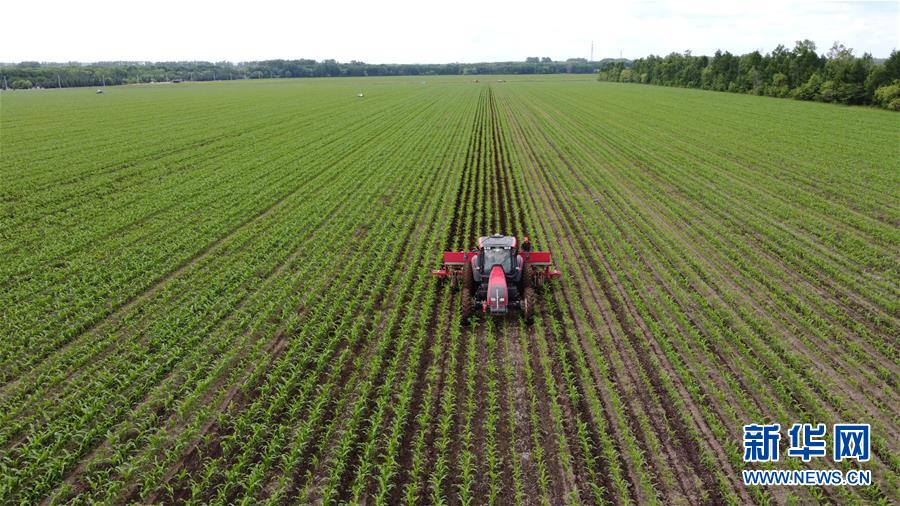 （在習(xí)近平新時(shí)代中國特色社會主義思想指引下&mdash;&mdash;新時(shí)代新作為新篇章&middot;習(xí)近平總書記關(guān)切事&middot;圖文互動(dòng)）（5）讓每一寸耕地都成為豐收的沃土&mdash;&mdash;我國加強(qiáng)耕地保護(hù)推進(jìn)&ldquo;藏糧于地&rdquo;