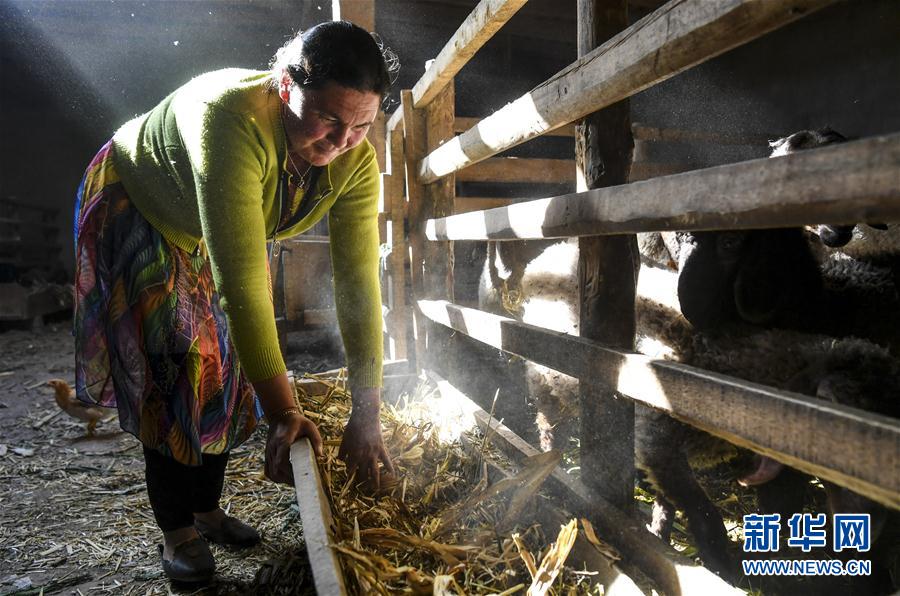 （圖文互動(dòng)）（7）&ldquo;沙漠高地&rdquo;的美好家園