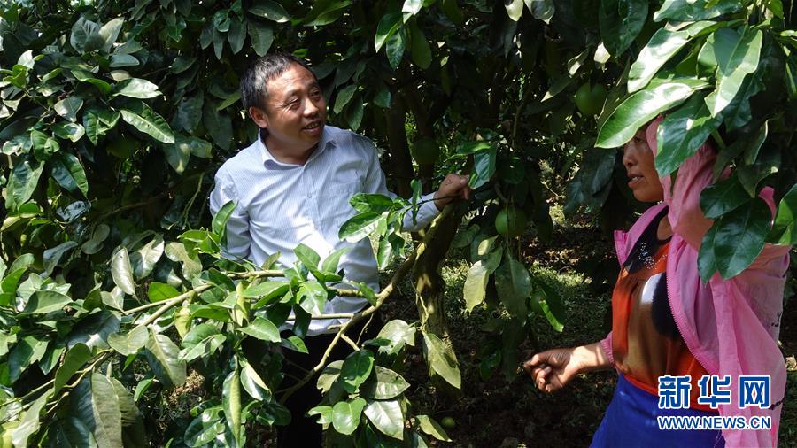 (新華網(wǎng)·決戰(zhàn)決勝脫貧攻堅(jiān)·圖文互動(dòng))(1)貴州思南:強(qiáng)村帶弱村 “抱團(tuán)”促增收