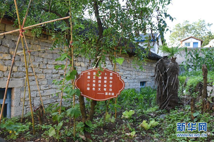 (鄉(xiāng)村振興·圖文互動(dòng))(6)海壩成“畫”