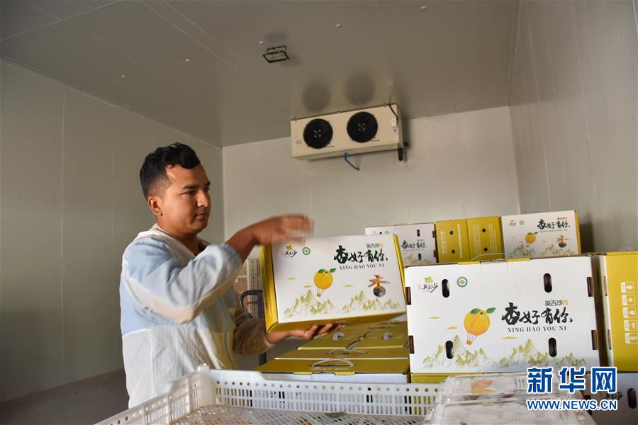 (決戰(zhàn)決勝脫貧攻堅·圖文互動)(6)新疆“杏鄉(xiāng)”:杏果飄香 走出深閨助脫貧