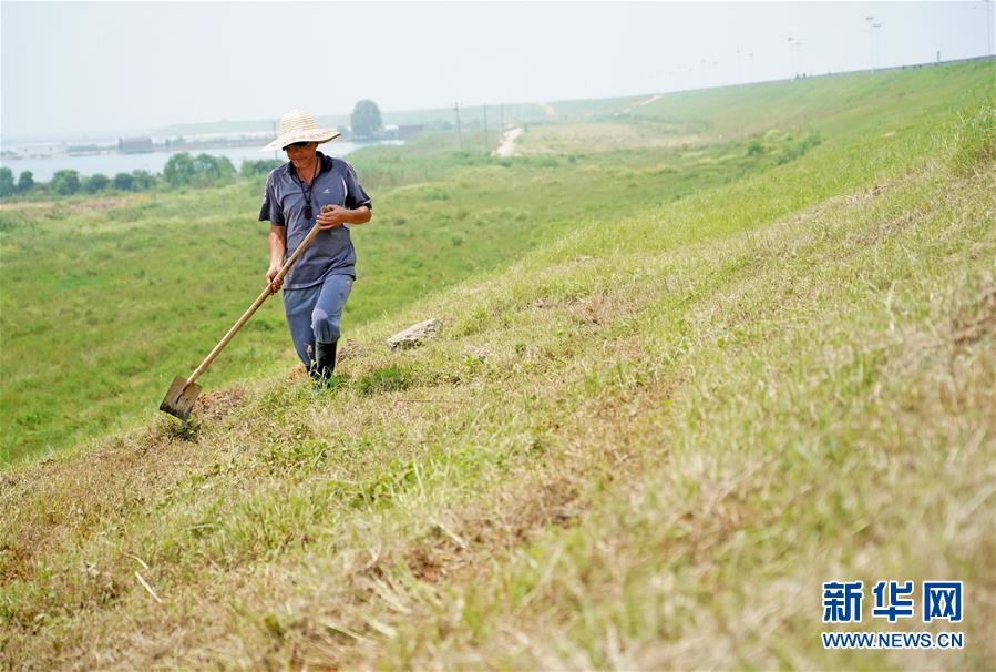 (防汛抗洪·圖文互動(dòng))(1)特寫:康山大堤上的脫貧“守堤人”