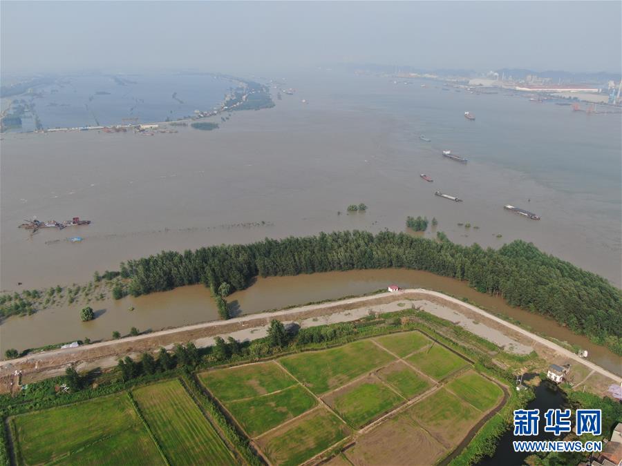 （新華全媒頭條&middot;圖文互動(dòng)）（1）鏖戰(zhàn)江新洲