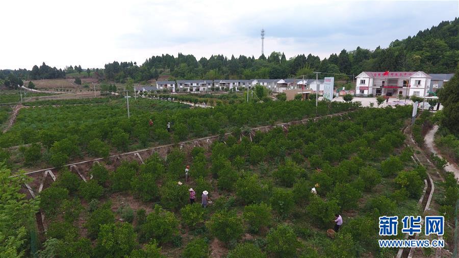 （新華全媒頭條&middot;走向我們的小康生活&middot;圖文互動(dòng)）（11）奮斗繪就&ldquo;新天府&rdquo;&mdash;&mdash;川蜀大地干群&ldquo;戰(zhàn)貧&rdquo;軌跡掃描