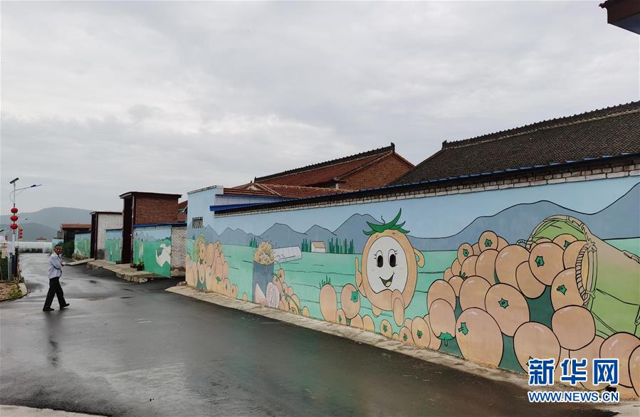 (決戰(zhàn)決勝脫貧攻堅(jiān)·圖文互動(dòng))(1)西紅柿小鎮(zhèn)的“致富經(jīng)”