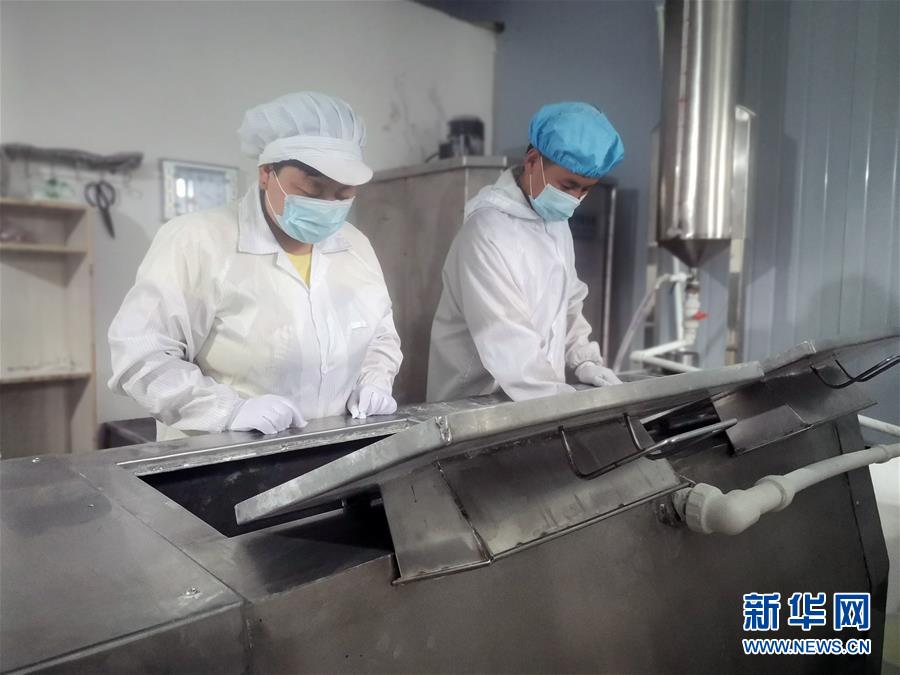 (中國(guó)網(wǎng)事·感動(dòng)2020·圖文互動(dòng))(1)“90后”扶貧干部跨越千里當(dāng)上“掛面書(shū)記”