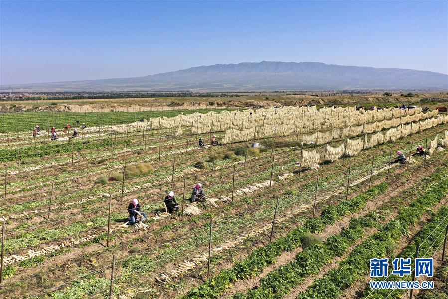 （新華全媒頭條&middot;走向我們的小康生活&middot;圖文互動(dòng)）（8）23萬人的命運(yùn)轉(zhuǎn)折&mdash;&mdash;我國(guó)最大易地生態(tài)移民安置區(qū)的脫貧密碼