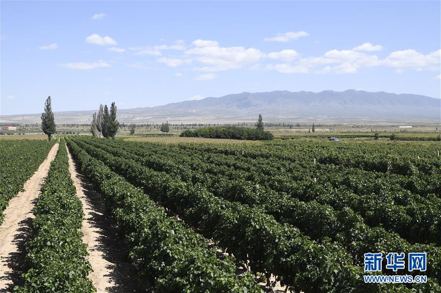 （新華全媒頭條&middot;走向我們的小康生活&middot;圖文互動(dòng)）（9）23萬人的命運(yùn)轉(zhuǎn)折&mdash;&mdash;我國(guó)最大易地生態(tài)移民安置區(qū)的脫貧密碼