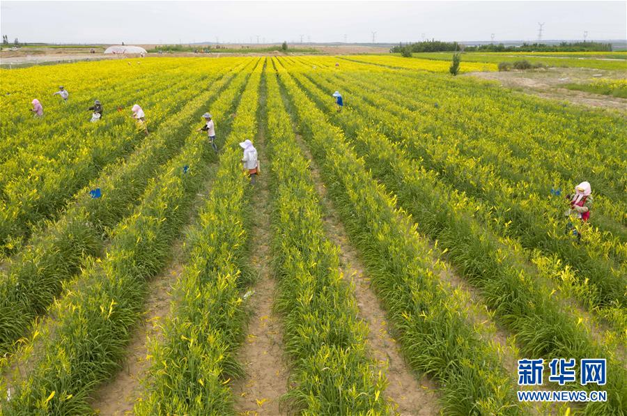 （新華全媒頭條&middot;走向我們的小康生活&middot;圖文互動(dòng)）（11）23萬人的命運(yùn)轉(zhuǎn)折&mdash;&mdash;我國(guó)最大易地生態(tài)移民安置區(qū)的脫貧密碼