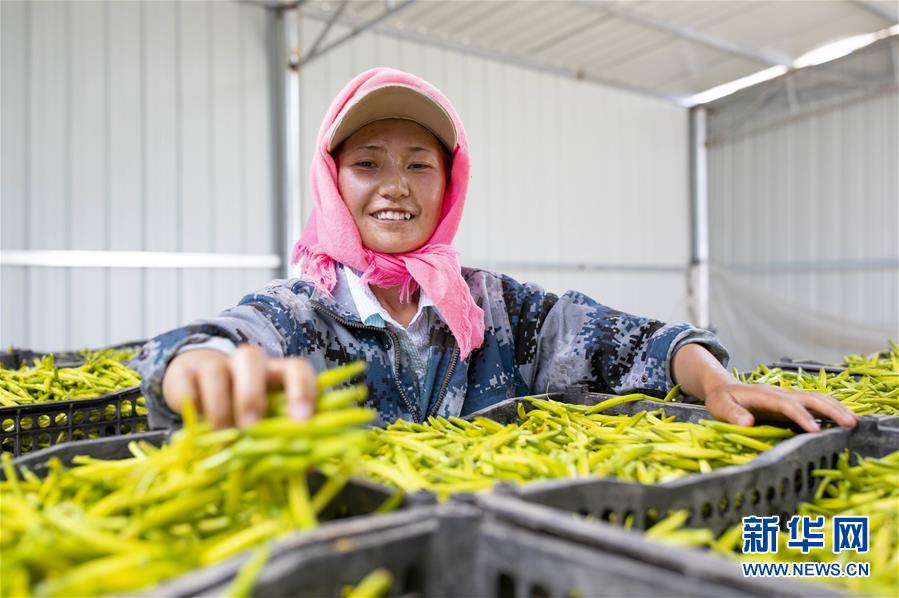 （新華全媒頭條&middot;走向我們的小康生活&middot;圖文互動(dòng)）（12）23萬人的命運(yùn)轉(zhuǎn)折&mdash;&mdash;我國(guó)最大易地生態(tài)移民安置區(qū)的脫貧密碼