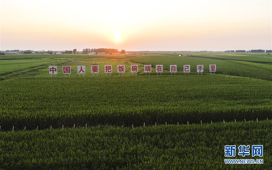 （在習(xí)近平新時(shí)代中國特色社會主義思想指引下&mdash;&mdash;新時(shí)代新作為新篇章&middot;習(xí)近平總書記關(guān)切事&middot;圖文互動）（1）讓百姓吃得飽還要吃得好&mdash;&mdash;夯實(shí)糧食安全基礎(chǔ)端牢中國飯碗