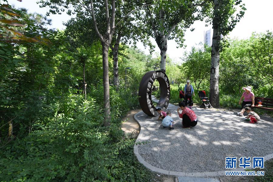 (新華全媒頭條·圖文互動)(3)老胡同里的新生活——北京老城探訪記