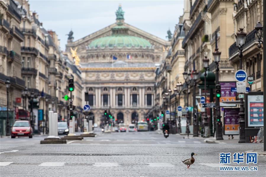 （國際&middot;圖文互動）（4）特稿：穿越寒暑 無問西東&mdash;&mdash;寫在新冠疫情構(gòu)成&ldquo;國際關(guān)注的突發(fā)公共衛(wèi)生事件&rdquo;半年之際