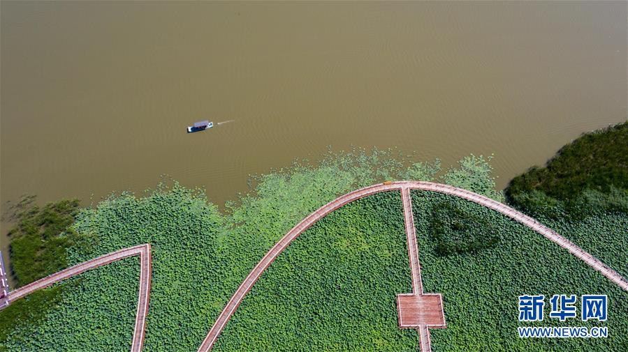 （在習(xí)近平新時(shí)代中國(guó)特色社會(huì)主義思想指引下&mdash;&mdash;新時(shí)代新作為新篇章&middot;習(xí)近平總書(shū)記關(guān)切事&middot;圖文互動(dòng)）（8）綠色映底蘊(yùn)，山水見(jiàn)初心&mdash;&mdash;生態(tài)優(yōu)先、綠色發(fā)展持續(xù)造福群眾美好生活