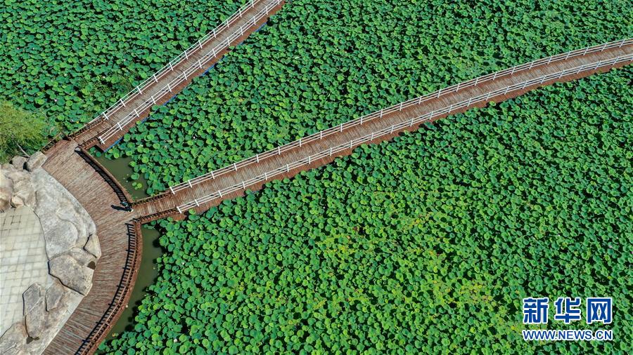 （在習(xí)近平新時(shí)代中國(guó)特色社會(huì)主義思想指引下&mdash;&mdash;新時(shí)代新作為新篇章&middot;習(xí)近平總書(shū)記關(guān)切事&middot;圖文互動(dòng)）（9）綠色映底蘊(yùn)，山水見(jiàn)初心&mdash;&mdash;生態(tài)優(yōu)先、綠色發(fā)展持續(xù)造福群眾美好生活