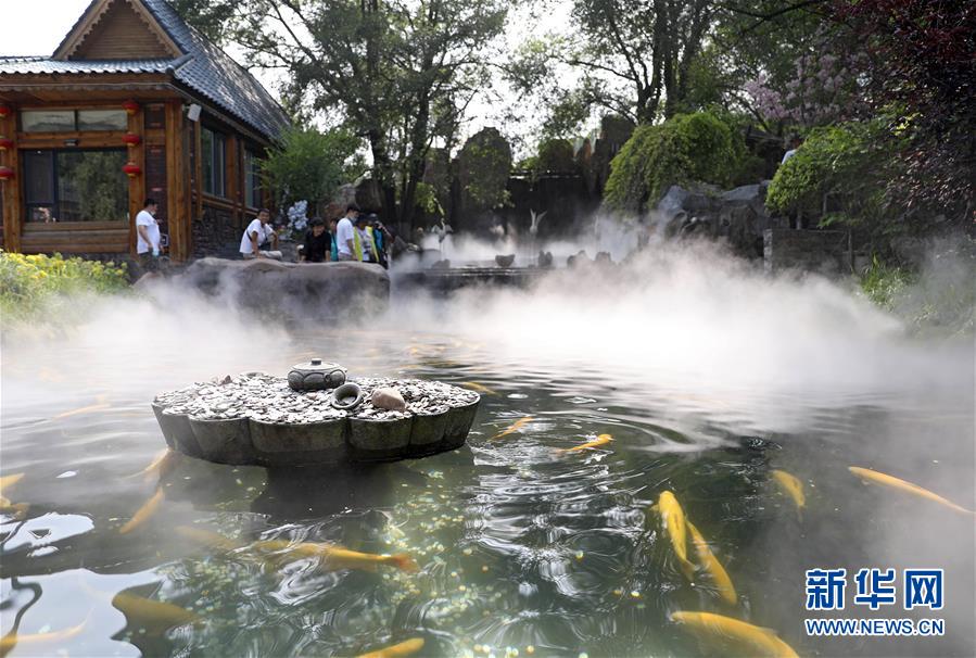 (走向我們的小康生活·圖文互動)(2)從“遼寧藍”到“花果山”——遼寧推進生態(tài)文明建設剪影