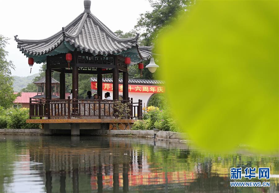 (走向我們的小康生活·圖文互動)(3)從“遼寧藍”到“花果山”——遼寧推進生態(tài)文明建設剪影