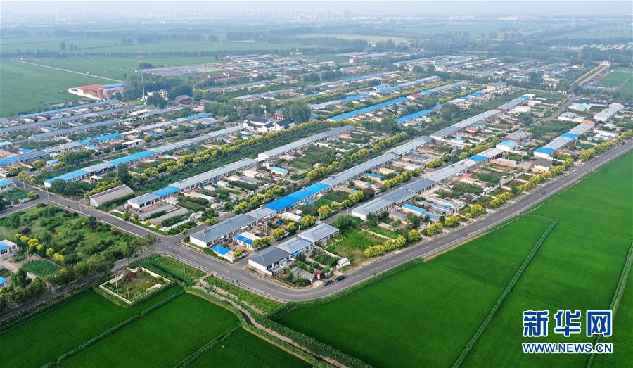 （新華全媒頭條&middot;走向我們的小康生活&middot;圖文互動）（4）&ldquo;南大荒&rdquo;變&ldquo;稻蟹鄉(xiāng)&rdquo;&mdash;&mdash;資源枯竭型城市盤錦的鄉(xiāng)村振興之路